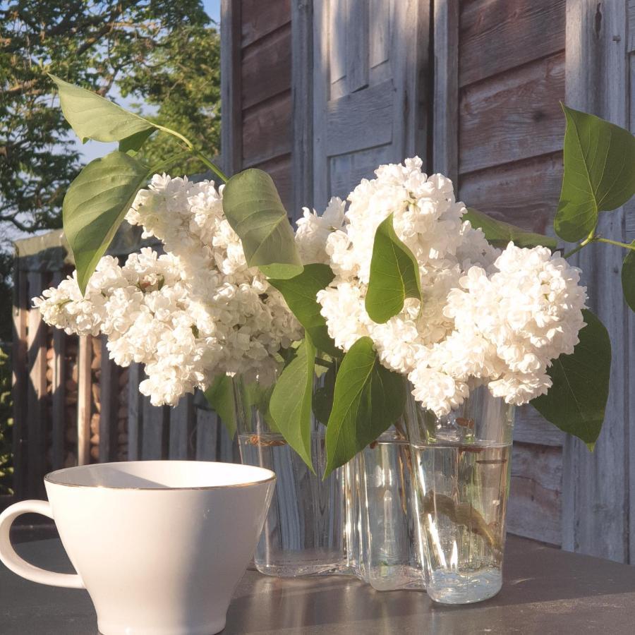Ronehamn Bed And Breakfast Hemse Exterior photo